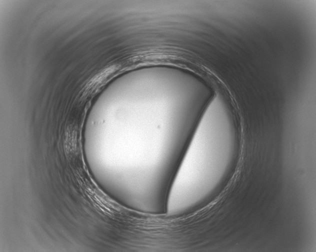 X0000086300777200703300927