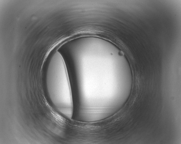 X0000086300779200703300927