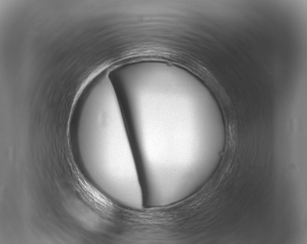 X0000086300780200703300927