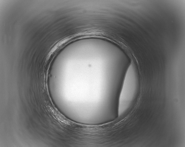 X0000086300781200703300927