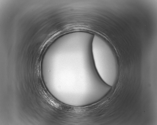 X0000086300782200703300927