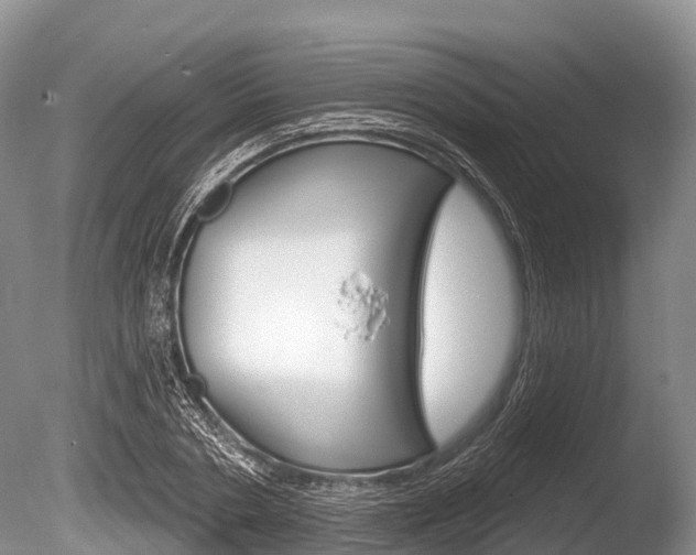 X0000086300786200703300927
