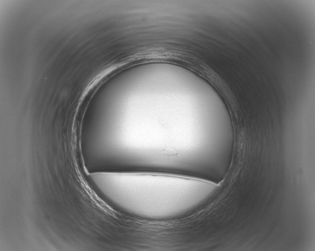 X0000086300787200703300927