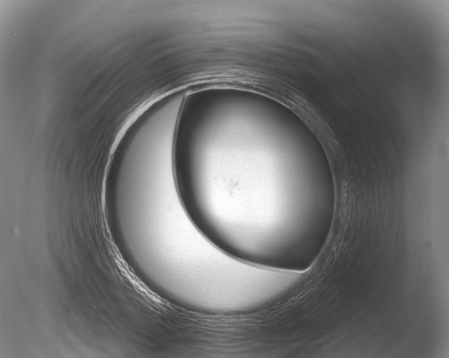 X0000086300788200703300927