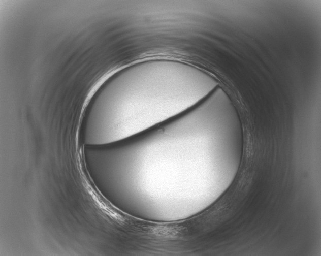 X0000086300796200703300927