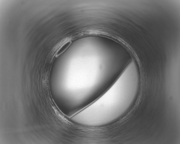 X0000086300801200703300927