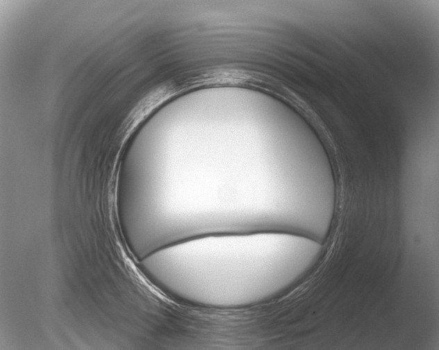 X0000086300802200703300927