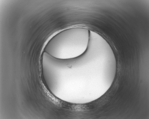 X0000086300808200703300927