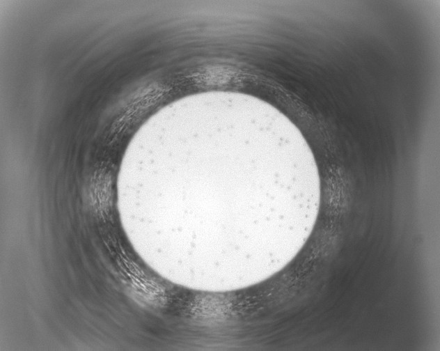 X0000086300820200703300926