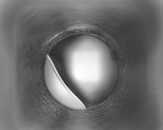 X0000086300822200703300926