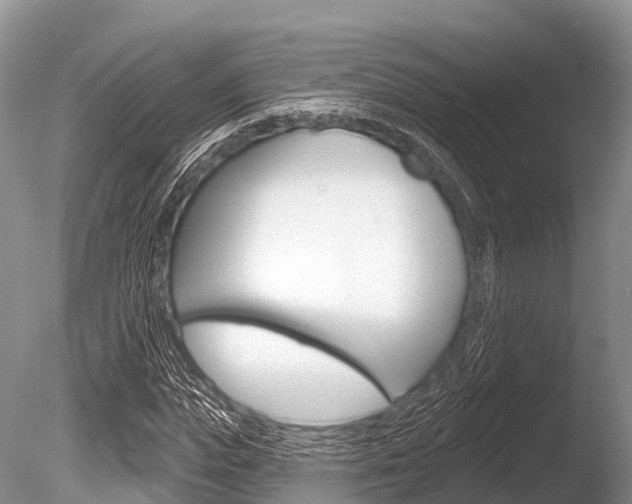 X0000086300823200703300926