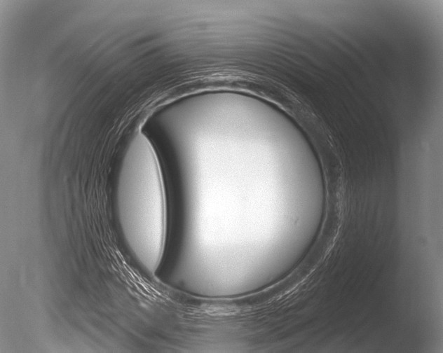 X0000086300825200703300926