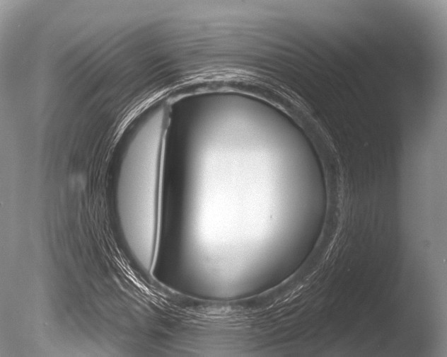X0000086300826200703300926