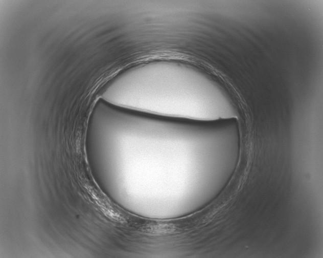 X0000086300833200703300926
