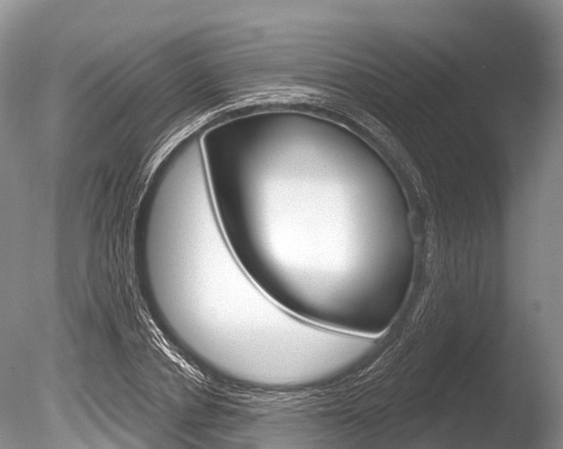 X0000086300834200703300926