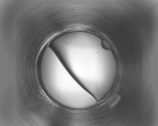 X0000086300835200703300926