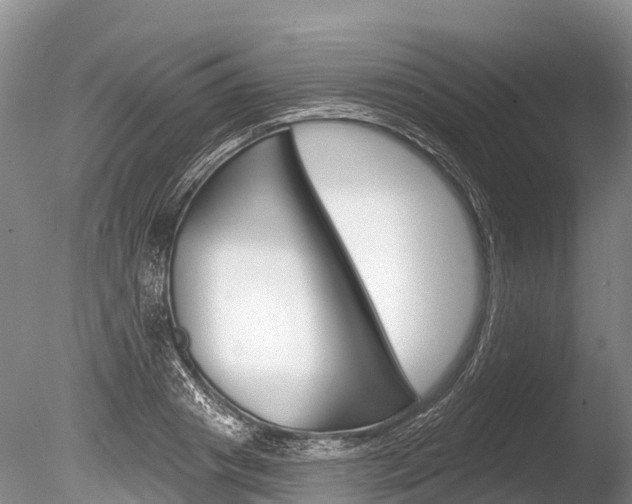 X0000086300841200703300926
