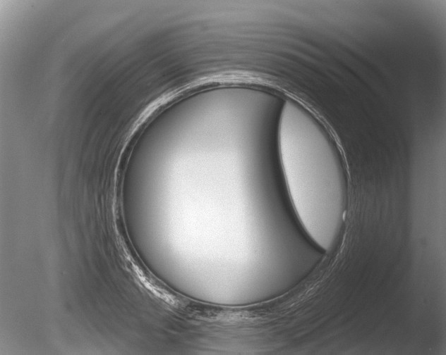 X0000086300845200703300926