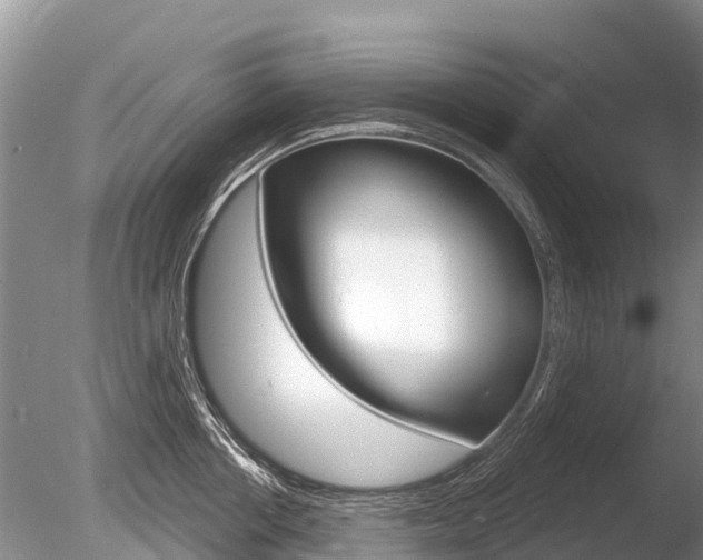 X0000086300858200703300926