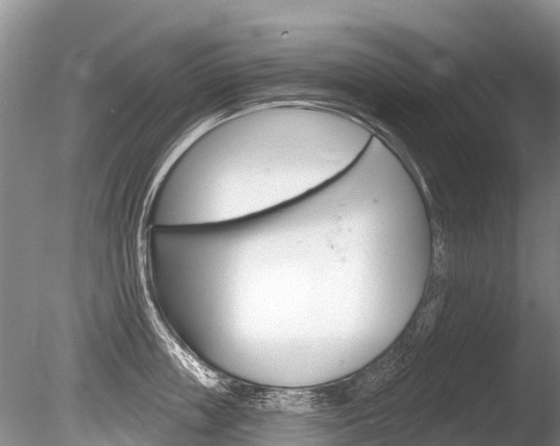 X0000086300859200703300926