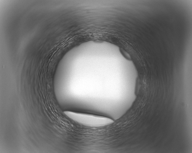 X0000086300865200703300926