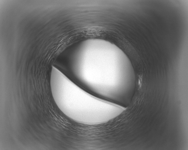 X0000086300867200703300926
