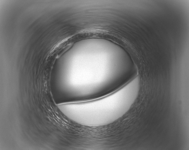 X0000086300872200703300926