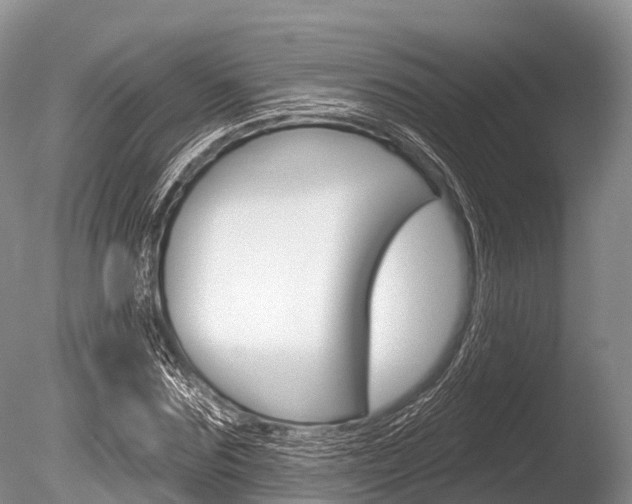 X0000086300875200703300926