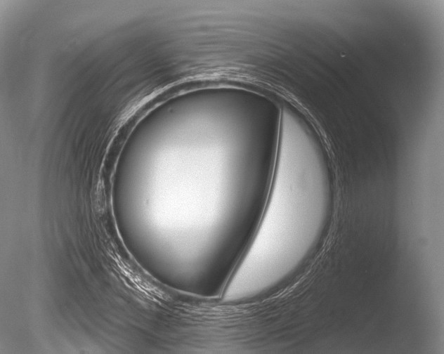 X0000086300876200703300926