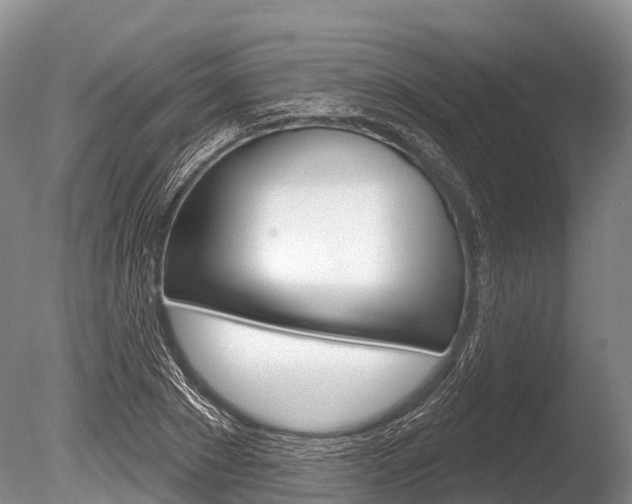 X0000086300881200703300925