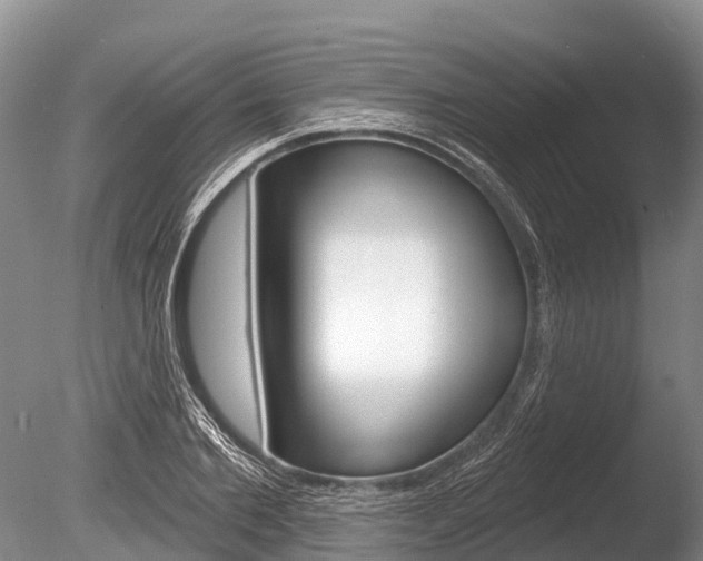 X0000086300885200703300925