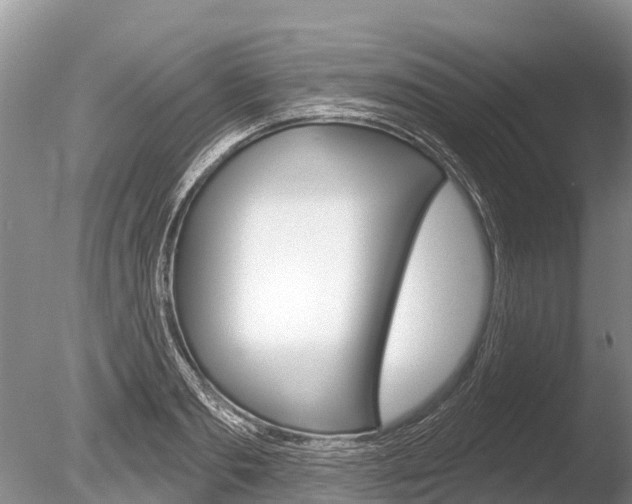 X0000086300893200703300925