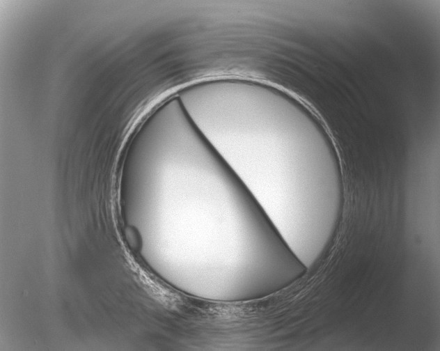 X0000086300895200703300925