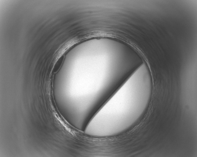 X0000086300898200703300925