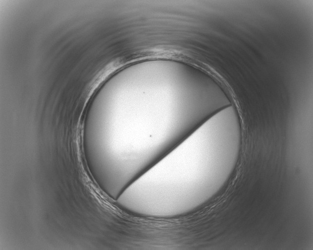 X0000086300899200703300925
