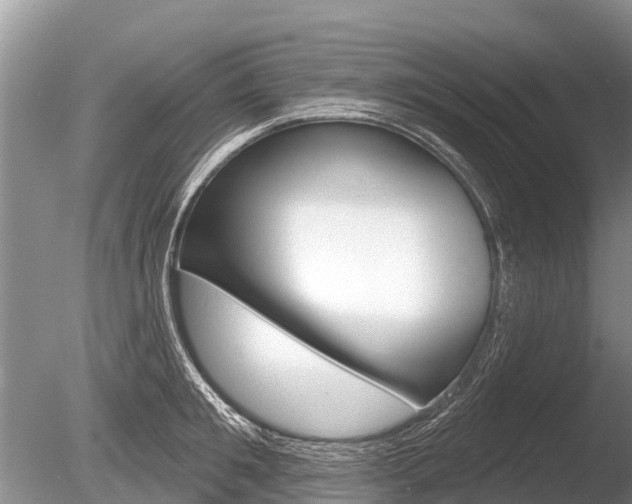X0000086300901200703300925