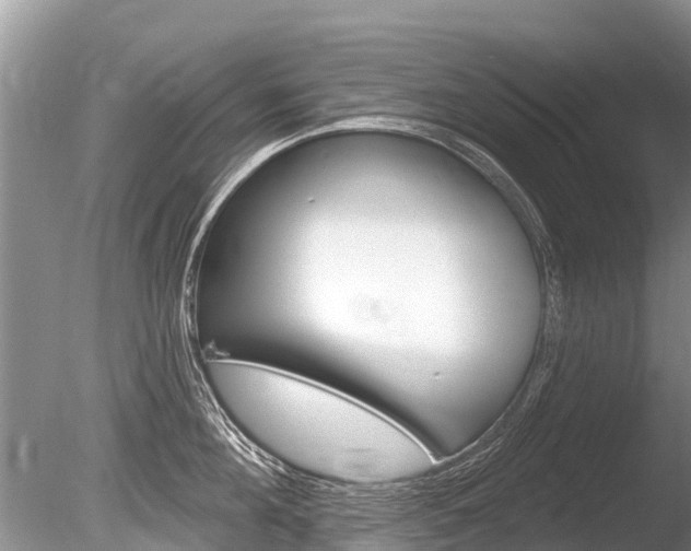 X0000086300908200703300925