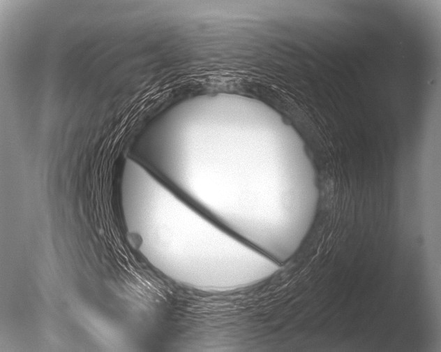 X0000086300913200703300924