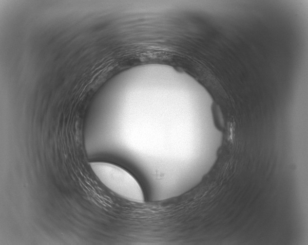 X0000086300915200703300924