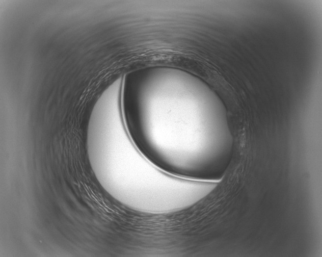 X0000086300916200703300924