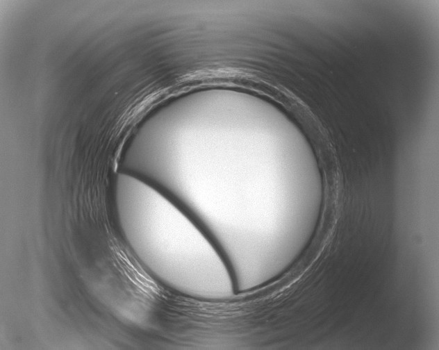 X0000086300921200703300924