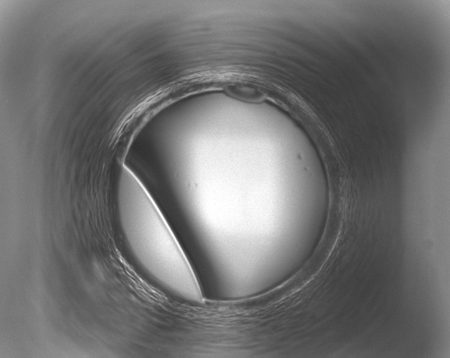 X0000086300922200703300924