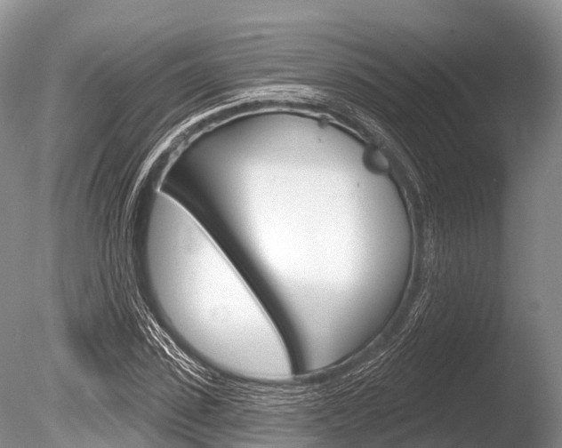 X0000086300923200703300924