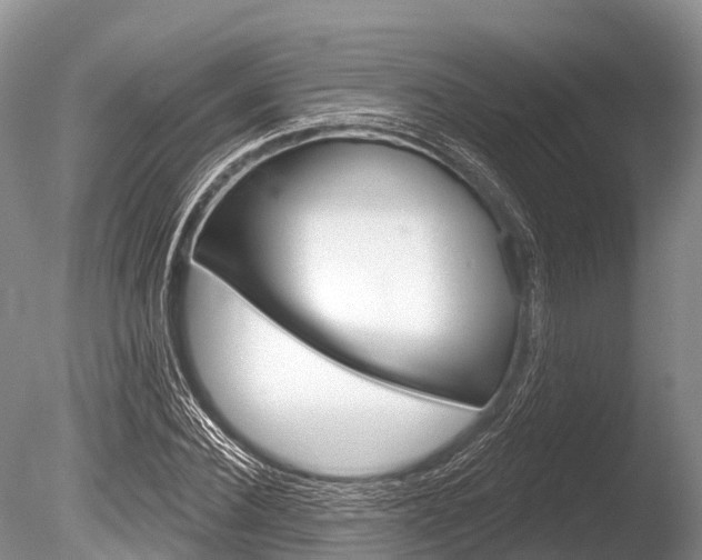 X0000086300924200703300924
