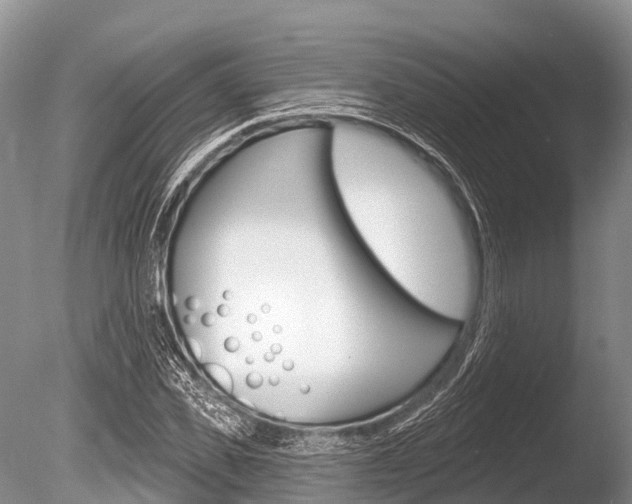 X0000086300925200703300924