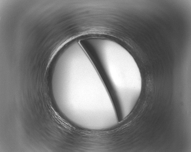 X0000086300926200703300924