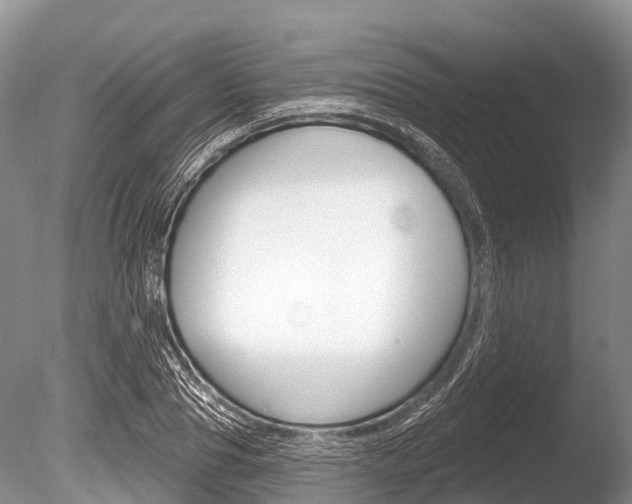 X0000086300929200703300924