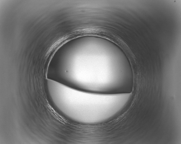 X0000086300930200703300924