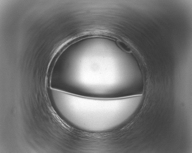 X0000086300932200703300924