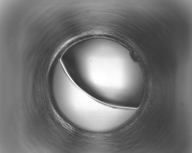 X0000086300934200703300924